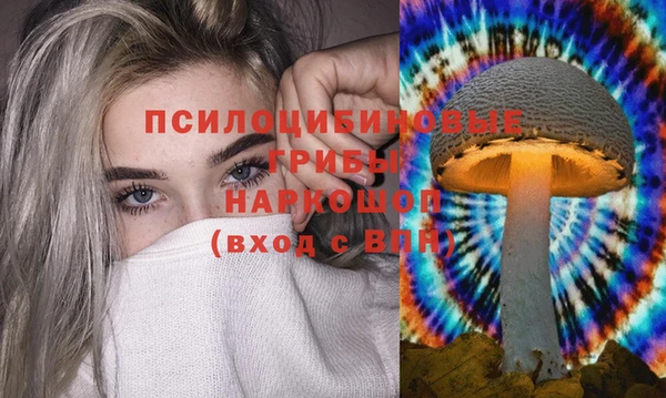 гашик Алзамай