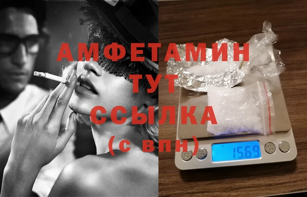 стаф Алексин