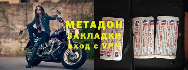 стаф Алексин