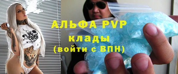 стаф Алексин