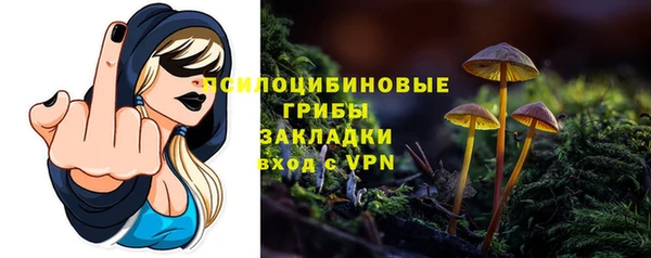 гашик Алзамай